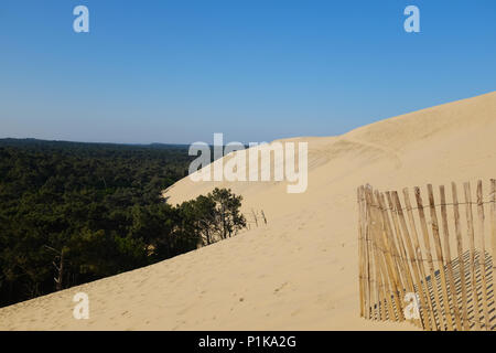 Dune di Pilat e paesaggio forestale, La Teste de Buch, Arachon, Nouvelle-Aquitaine, Francia Foto Stock