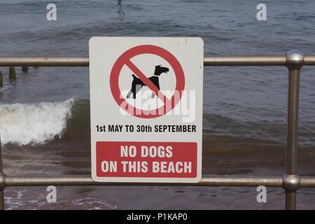 Un 'No cani su questa spiaggia 1 Maggio al 30 settembre " segno attaccato ad una rotaia metallica sulla spiaggia di Teignmouth, South Devon Foto Stock