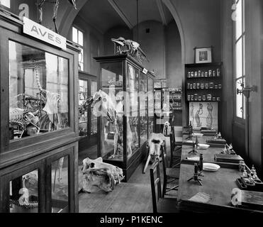 Mason's College di Paradise Street, Birmingham, West Midlands, 1897. Artista: Henry Bedford Lemere. Foto Stock