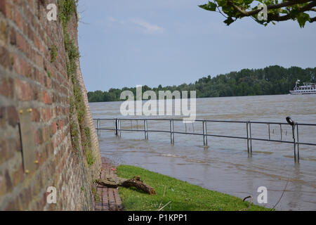 Kalkar am Niederrhein bei leichtem Hochwasser, 2013 Foto Stock