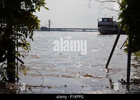 Kalkar am Niederrhein bei leichtem Hochwasser, 2013 Foto Stock