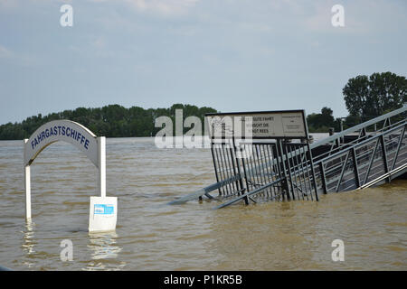 Kalkar am Niederrhein bei leichtem Hochwasser, 2013 Foto Stock