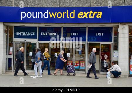 Il legno ramo verde di poundworld extra Londra nord N22 REGNO UNITO Foto Stock