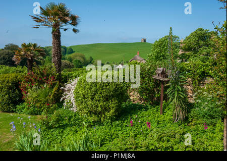 Abbotsbury nel Dorset, una contea in Inghilterra meridionale, che gode gode di uno scenario pittoresco. Foto Stock