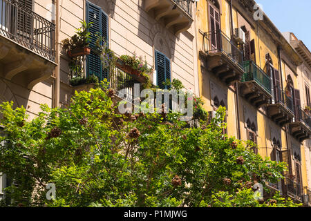 Italia Sicilia Palermo blocco tipici blocchi di appartamenti appartamenti appartamenti con balconi di piante in vaso di piantatrici fiori flora finestre climatizzatori Foto Stock