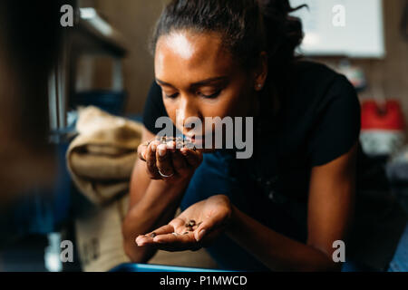 Donna di esame e odorare il profumo di caffè in chicchi dopo la tostatura Foto Stock