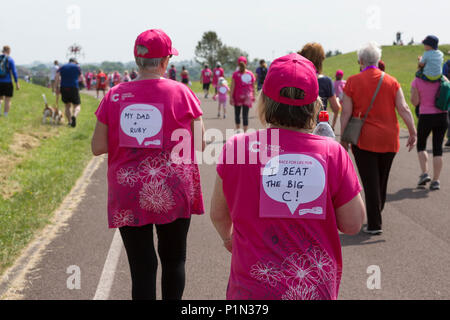 I partecipanti nella ricerca sul cancro del Regno Unito di corsa per la vita evento di beneficenza in Llanelli, con poignant e spostando i messaggi sulle loro spalle Foto Stock
