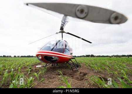 Berna, Germania. 12 GIU, 2018. 12 giugno 2018, Germania, Berna: un Enstrom F-28F elicottero dopo un atterraggio di emergenza in un campo di granoturco nei pressi di Berna a causa di un guasto del motore. Entrambe le persone a bordo è rimasta intatta. Foto: Mohssen Assanimoghaddam/dpa Credito: dpa picture alliance/Alamy Live News Foto Stock