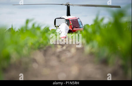 Berna, Germania. 12 GIU, 2018. 12 giugno 2018, Germania, Berna: un Enstrom F-28F elicottero dopo un atterraggio di emergenza in un campo di granoturco nei pressi di Berna a causa di un guasto del motore. Entrambe le persone a bordo è rimasta intatta. Foto: Mohssen Assanimoghaddam/dpa Credito: dpa picture alliance/Alamy Live News Foto Stock