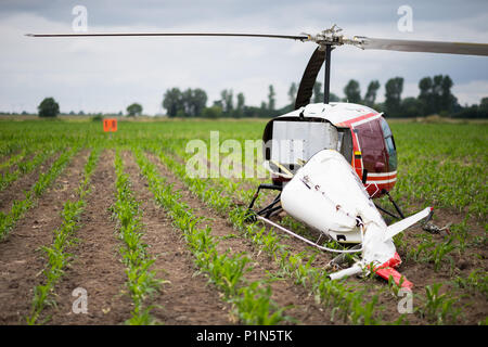 Berna, Germania. 12 GIU, 2018. 12 giugno 2018, Germania, Berna: un Enstrom F-28F elicottero dopo un atterraggio di emergenza in un campo di granoturco nei pressi di Berna a causa di un guasto del motore. Entrambe le persone a bordo è rimasta intatta. Foto: Mohssen Assanimoghaddam/dpa Credito: dpa picture alliance/Alamy Live News Foto Stock