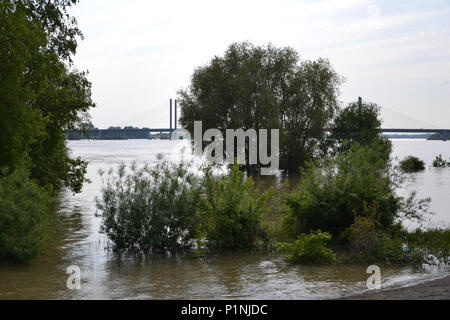 Kalkar am Niederrhein bei leichtem Hochwasser, 2013 Foto Stock