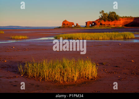 Bassa marea a nord Medford lungo il bacino di Minas litorale al tramonto; Nova Scotia, Canada Foto Stock