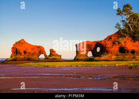 Costiera di pile di mare e la spiaggia con la bassa marea al tramonto lungo il bacino di Minas litorale; Nord Medford, Nova Scotia, Canada Foto Stock