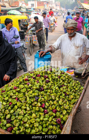 Uomo locale vendita di acqua le castagne (singhara) presso la strada del mercato di Fatehpur Sikri, Uttar Pradesh, India. La città è stata fondata nel 1569 da Mughal Foto Stock