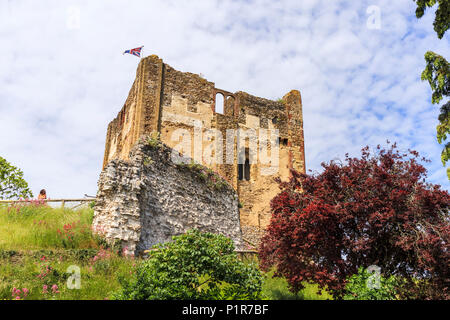 Cassero / grande torre di fortificazione normanna, Castello di Guildford rovine nel centro di Guildford, capoluogo di contea di Surrey, Inghilterra sudorientale, UK in estate Foto Stock