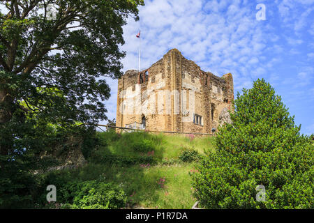 Cassero / grande torre del Castello di Guildford rovine, un punto di riferimento da epoca normanna nel centro di Guildford, capoluogo di contea di Surrey, Inghilterra sudorientale, REGNO UNITO Foto Stock