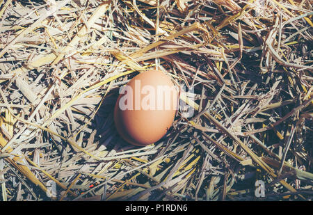 Pulcino di pasqua uovo, vintage immagine del filtro Foto Stock