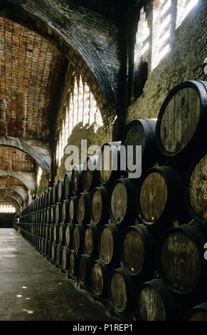 Sant Sadurní d'Anoia, cavas Freixenet ("champagne' produttori). Foto Stock