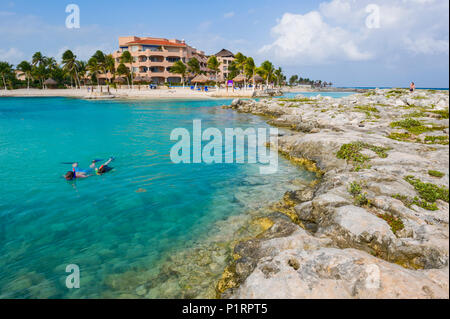 Snorkler in una laguna sul lato caraibico del Messico; Playa Del Carmen, Quintana Roo, Messico Foto Stock