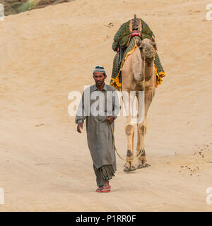 Camel safari sulle dune Lakhmana, India Foto Stock