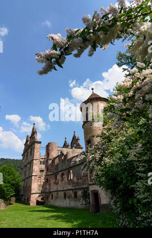 Calw: zona Hirsau: i ruderi del monastero di San Pietro e San Paolo, ex Schloss (castello) in Germania, Baden-Württemberg, Schwarzwald, Foresta Nera Foto Stock