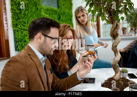 Il team di una università biologi facendo sperimentare ed esplorare nuovi metodi di selettocoltura delle piante. Foto Stock