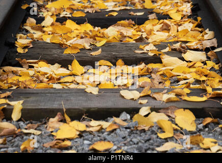 Vecchia ferrovia con giallo caduta foglie di autunno. Messa a fuoco selettiva. Foto Stock