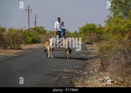 L'agricoltore indiano cavalcare carrello di giovenco, villaggio rurale del Maharashtra, India. Foto Stock