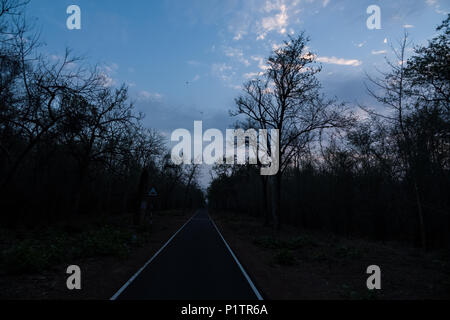 Strada di polvere attraverso il legno, Tadoba-Andhari riserva della tigre, Maharashtra, India, con colline a distanza dando una vista maestosa, durante la stagione estiva Foto Stock