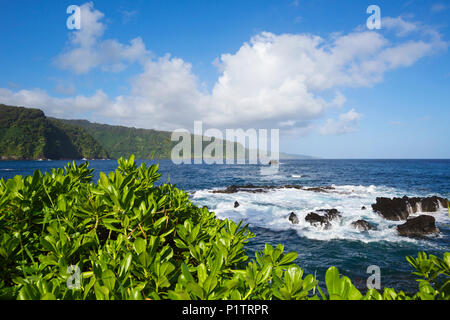 La North Shore di Maui visto dalla penisola Keanae; Keanae, Maui, Hawaii, Stati Uniti d'America Foto Stock