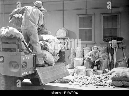 Pellicola originale titolo: quando WILLIE PROVIENE MARCHING HOME. Titolo inglese: quando WILLIE PROVIENE MARCHING HOME. Regista: JOHN FORD. Anno: 1950. Stelle: DAN DAILEY. Credito: 20TH CENTURY FOX / Album Foto Stock