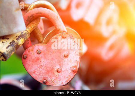 Close-up del castello di rosa e di altri castelli in forma di cuori sul vecchio ponte della città, la tradizione di amanti che il giorno del matrimonio Foto Stock