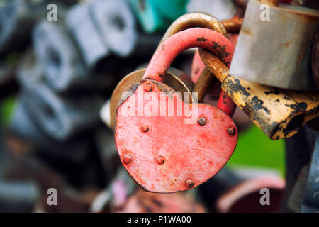 Close-up del castello di rosa e di altri castelli in forma di cuori sul vecchio ponte della città, la tradizione di amanti che il giorno del matrimonio Foto Stock