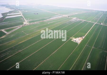 Montsià: Delta del Ebro / delta del fiume Ebro; campi di riso vista aerea (comarca del Montsià). Foto Stock