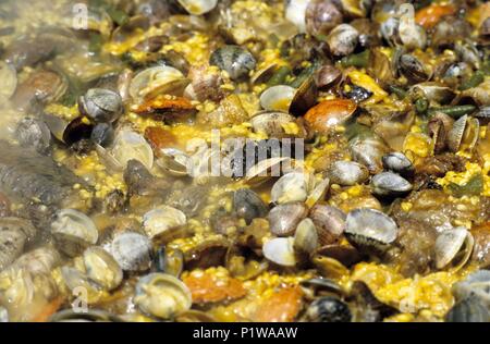 Montsià: Poble Nou, "paella,s' dettaglio(Delta del Ebro / Ebre; Montsià). Foto Stock