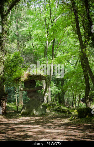 Moss coperto lanterna di pietra nascosto tra gli alberi a Yufuin Onsen Resort, Oita, Kyushu, Giappone Foto Stock