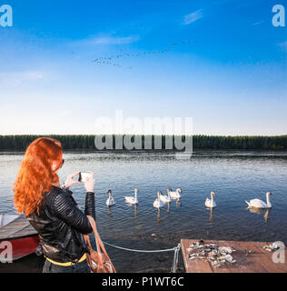 Giovane donna prende un potosí dei cigni galleggiante sul fiume Danubio a Novi Sad Serbia. Foto Stock