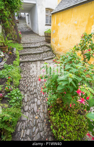 Piccolo percorso tortuoso attraverso il grazioso cottage di Cloverly in Devon Foto Stock