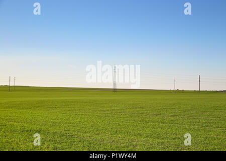 Bellissima vista del campo verde con alti pali di utilità permanente sulla sullo sfondo di un cielo blu chiaro Foto Stock