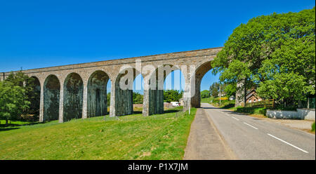 TOMATIN pietra viadotto ferroviario con struttura ad albero e foglie in primavera Foto Stock