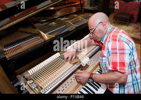 L'Europa, Italia, Lombardia Milano. sintonizzatore di piano tecnico durante una riparazione di un martello. Foto Stock
