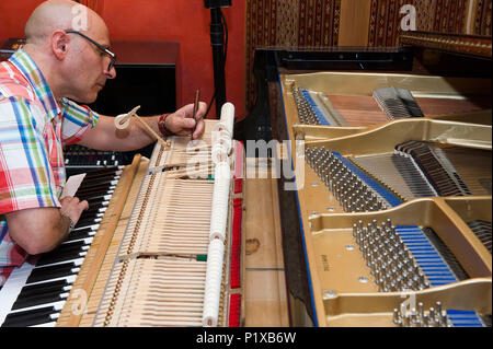 L'Europa, Italia, Lombardia Milano. sintonizzatore di piano tecnico durante una riparazione di un martello. Foto Stock