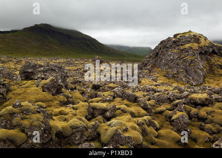 Verde muschio coperto Berserkjahraun flusso lavico, Snaefellsnes peninsula, West Islanda Islanda Foto Stock