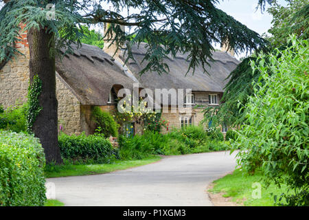 Ricoperto di Rose Cottage con il tetto di paglia in villaggio Costwold di Hidcote Bartrim, il Costwolds, Gloucestershire, England, Regno Unito, Europa Foto Stock