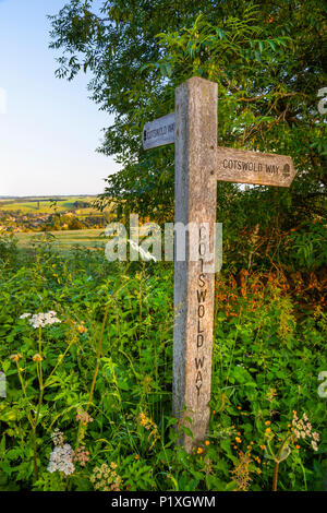 Cotswold modo sentiero segno sulla rotta Dover collina nei pressi di inizio o di fine del National Trail a Chipping Campden, Cotswolds, Gloucestershire, England, Regno Unito Foto Stock