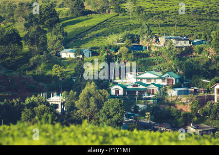 Lo splendido paesaggio di Ceylon. le piantagioni di tè e case antiche. Foto Stock