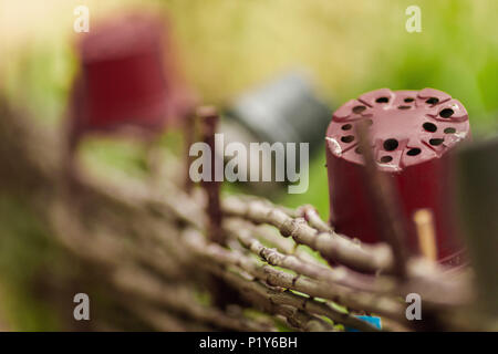 Canniccio recinzione fatta di willow aste. Foto Stock