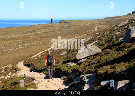Escursionista sul percorso per il vecchio uomo di Hoy, Orkney Isles Foto Stock
