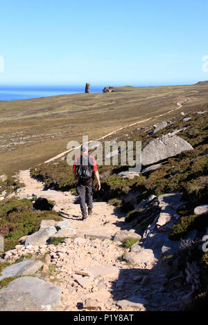 Escursionista sul percorso per il vecchio uomo di Hoy, Orkney Isles Foto Stock