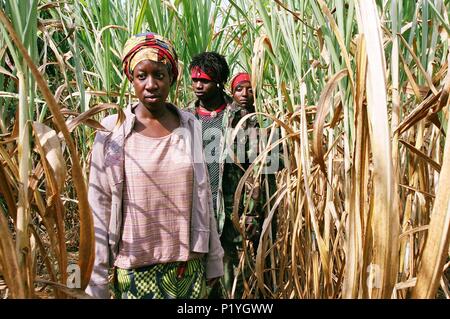 Pellicola originale titolo: ANN. Titolo inglese: ANN. Regista: NEWTON I. ADUAKA. Anno: 2007. Stelle: MOMOUDU TURAY KAMARA; MARIAME N'Diaye; MAMUSU rileva Kallon. Credito: Amour Gou Filproduktion / Album Foto Stock